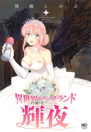 異世界ソープランド輝夜 Raw Free