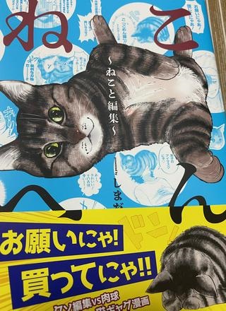 ねこへん ～ねこと編集～ Raw Free